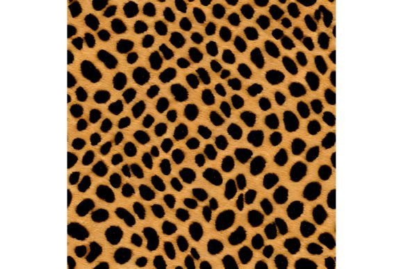 Download Tiger Print Seamless Pattern - Pattern Collection