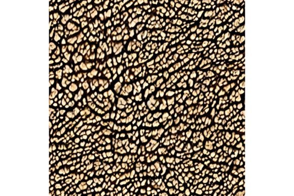 Download Tiger Print Seamless Pattern - Pattern Collection