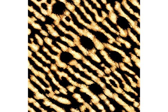 Download Tiger Print Seamless Pattern - Pattern Collection