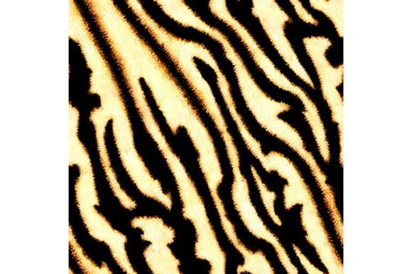 Download Tiger Print Seamless Pattern - Pattern Collection
