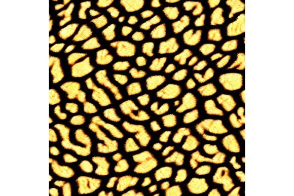 Download Tiger Print Seamless Pattern - Pattern Collection